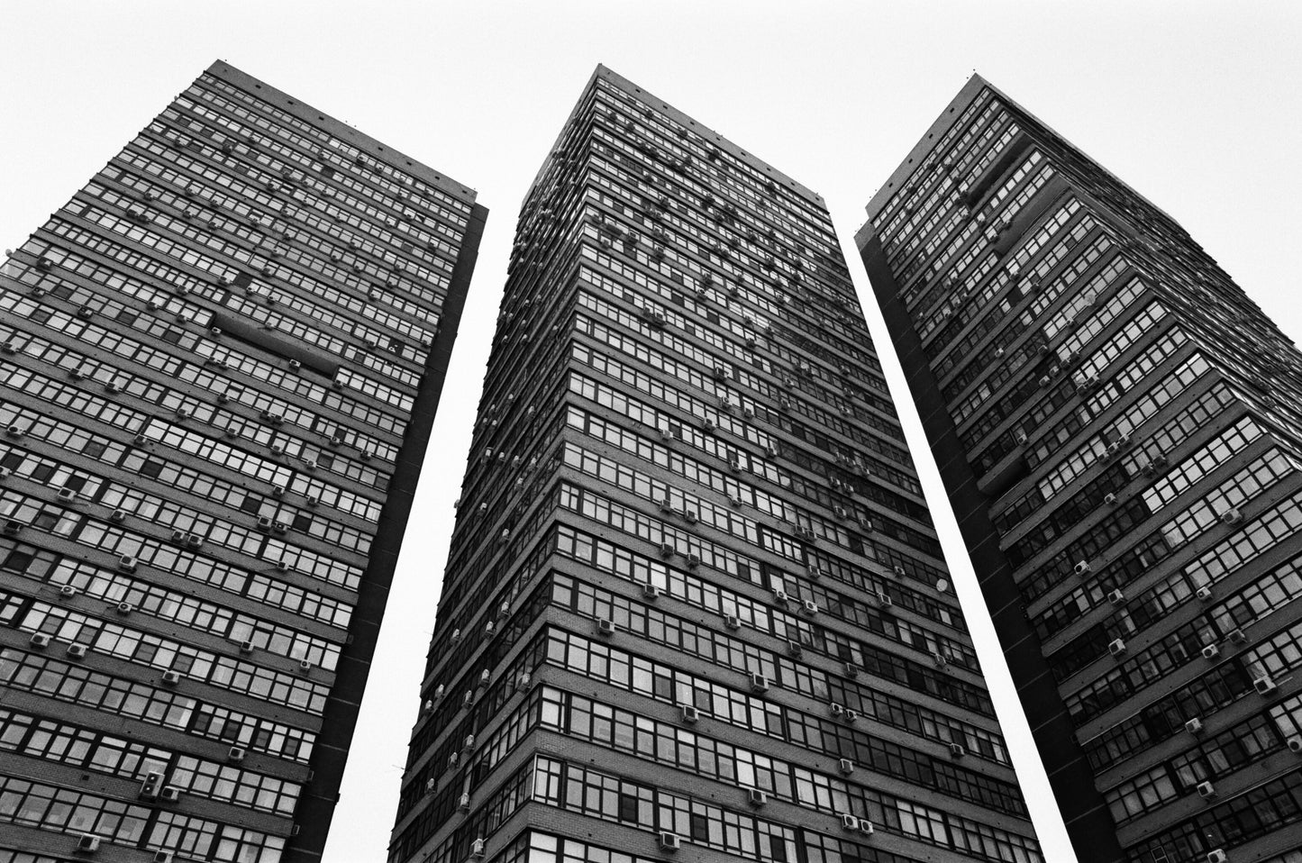 For.Bid - Fine Art Limited Edition Print