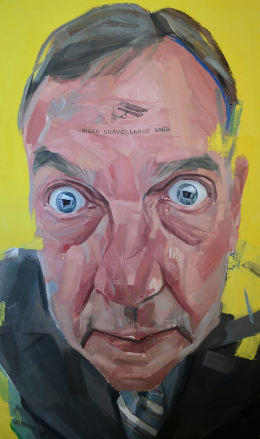 Video surveillance area