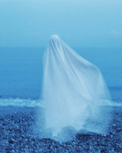 Sardines | Water Bodies