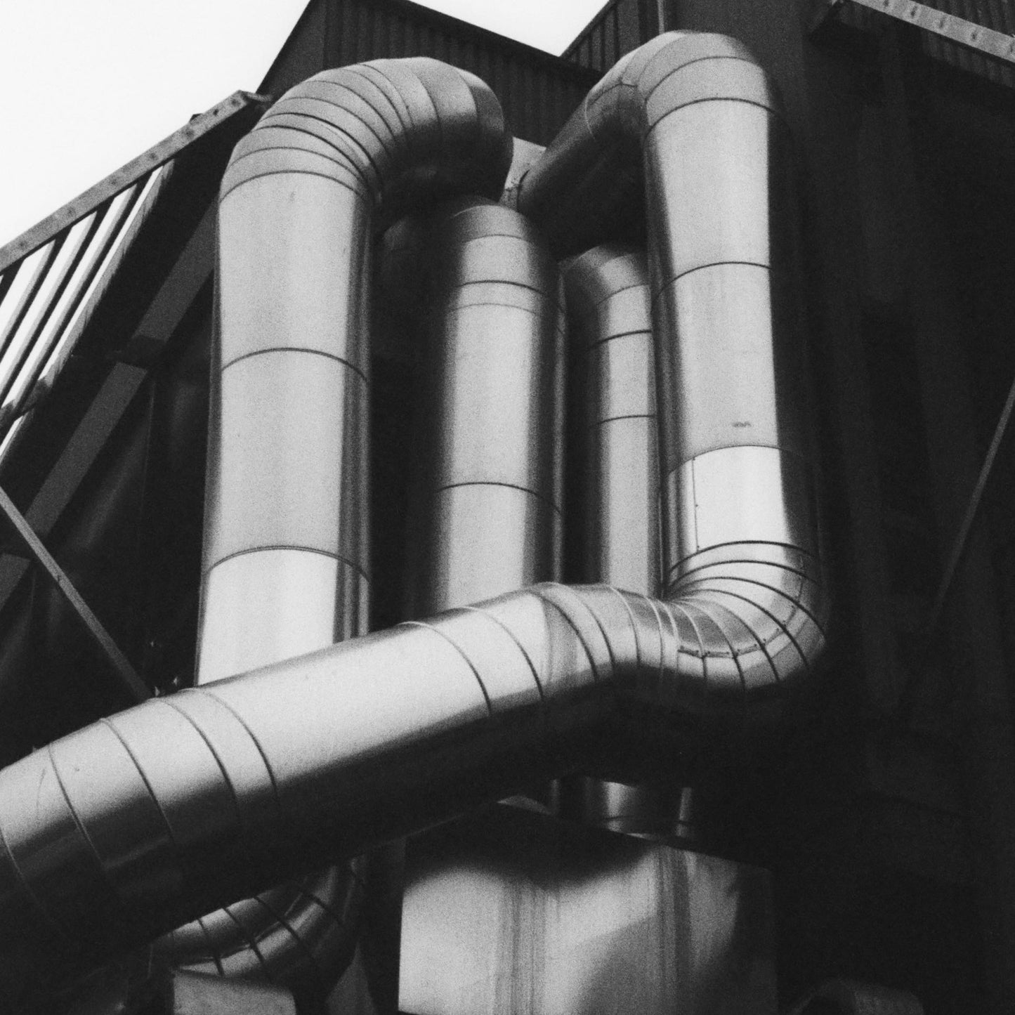 Bones - Fine Art Limited Edition Print