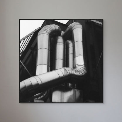 Bones - Fine Art Limited Edition Print